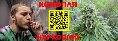 ГАЛЛЮЦИНОГЕННЫЕ ГРИБЫ Славгород