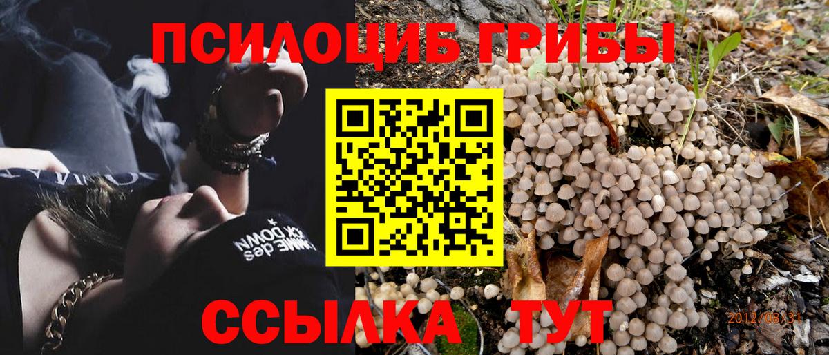 что такое наркотик  Вход с VPN  Псилоцибиновые грибы Magic Shrooms  Нефтекамск  Псилоцибиновые грибы Magic Shrooms 